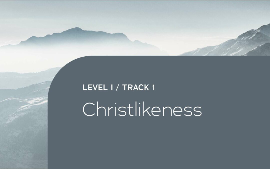 Level I – Track 1: Christlikeness