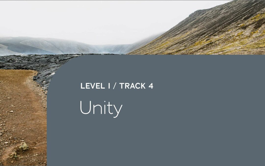 Level I – Track 4: Unity